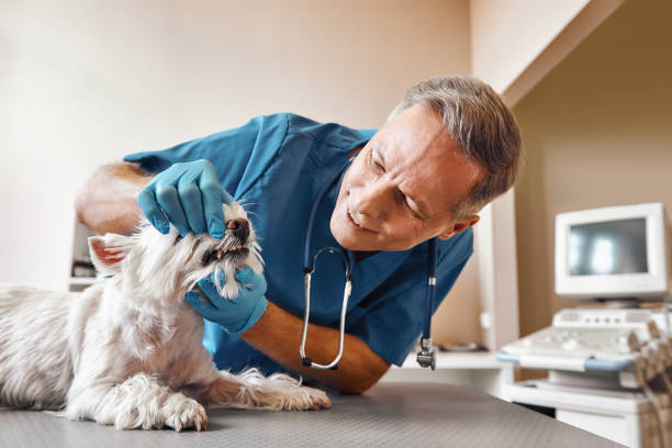 Best Weekend Emergency Dentist in Danville, VA