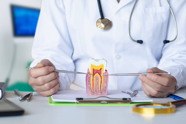Best Emergency Dental Care for Abscessed Tooth in Danville, VA
